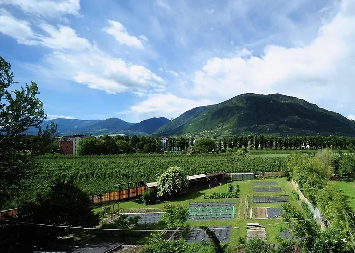 酒店 蒂沃利别墅酒店 梅拉诺